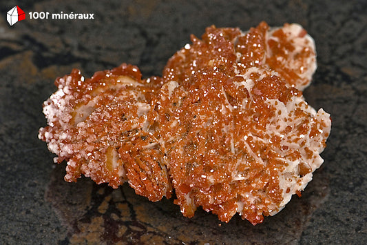 Vanadinite du Maroc - Tapis de cristaux orange foncé sur Barytine blanche crêtée - 103 g - BH250