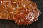 Vanadinite du Maroc (cristaux orange foncé sur Barytine blanche crêtée) - 103 g / BH250 - Vignette | 1001 minéraux