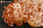 Vanadinite du Maroc (cristaux orange foncé sur Barytine blanche crêtée) - 103 g / BH250 - Vignette | 1001 minéraux