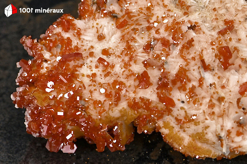 Vanadinite du Maroc - Détail des crêtes de Barytine blanche sous le tapis de Vanadinite - BH250