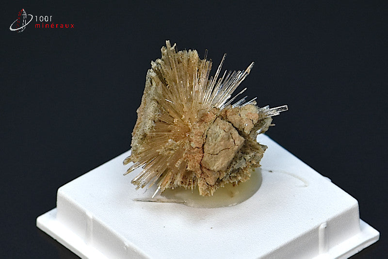 Minéral cristallisé d'aragonite aciculaire marron d'Espagne