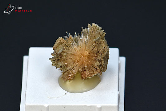 Minéral cristallisé d'aragonite aciculaire marron d'Espagne