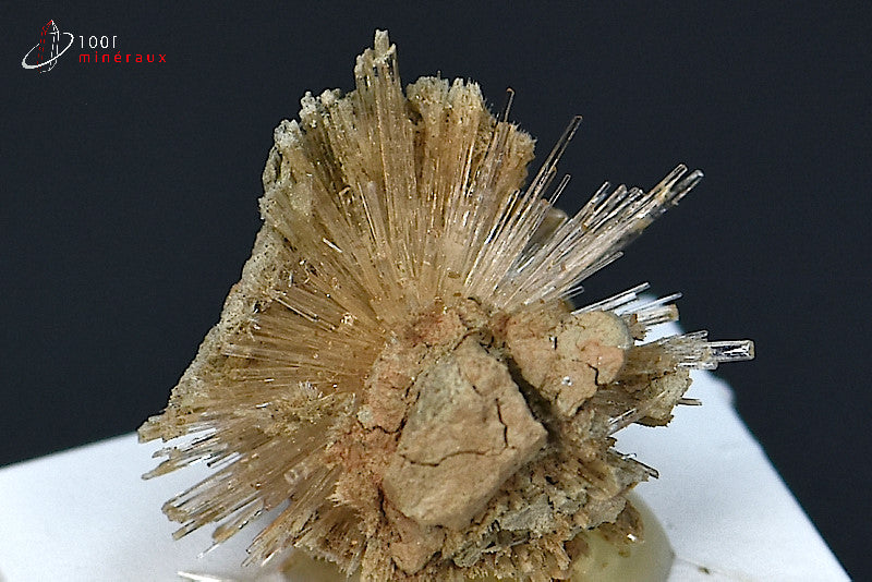 Minéral cristallisé d'aragonite aciculaire marron d'Espagne