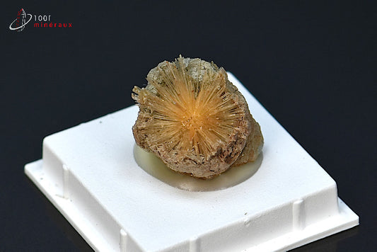 Minéral cristallisé d'aragonite aciculaire marron d'Espagne