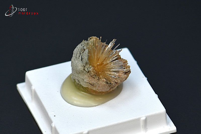 Minéral cristallisé d'aragonite aciculaire marron d'Espagne