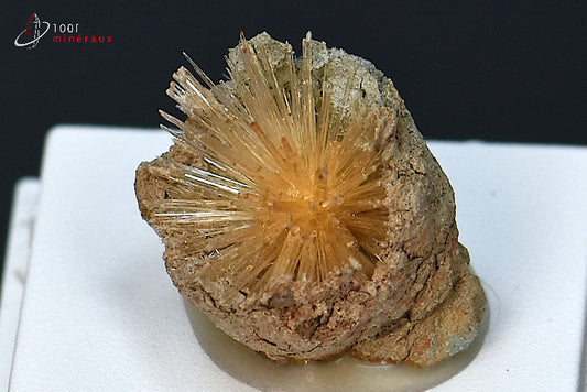 Minéral cristallisé d'aragonite aciculaire marron d'Espagne