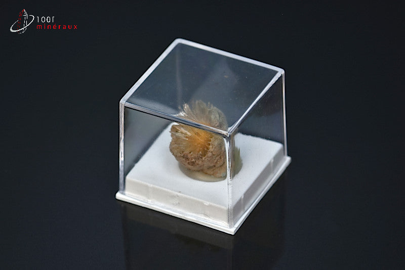 Minéral cristallisé d'aragonite aciculaire marron d'Espagne