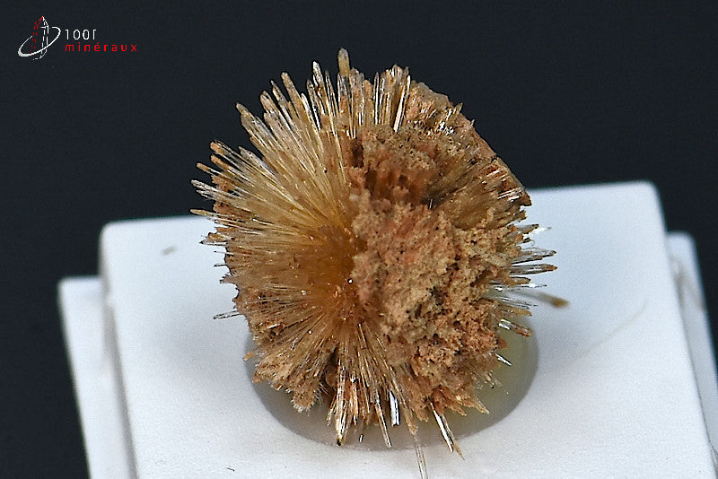 Minéral cristallisé d'aragonite aciculaire marron d'Espagne