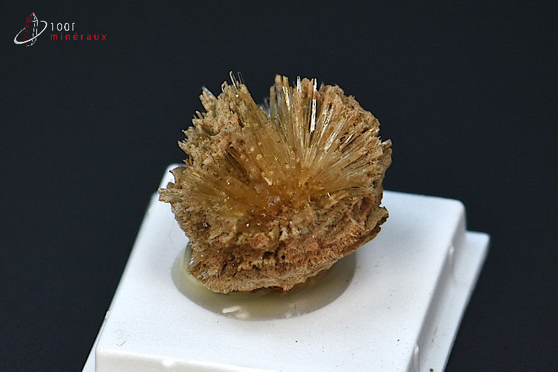 Minéral cristallisé d'aragonite aciculaire marron d'Espagne