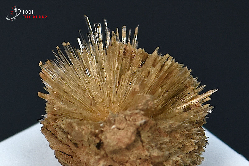 Minéral cristallisé d'aragonite aciculaire marron d'Espagne
