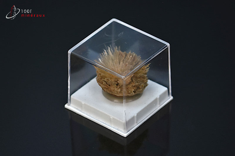 Minéral cristallisé d'aragonite aciculaire marron d'Espagne