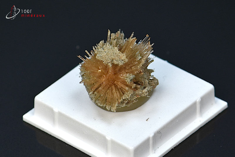 Minéral cristallisé d'aragonite aciculaire marron d'Espagne