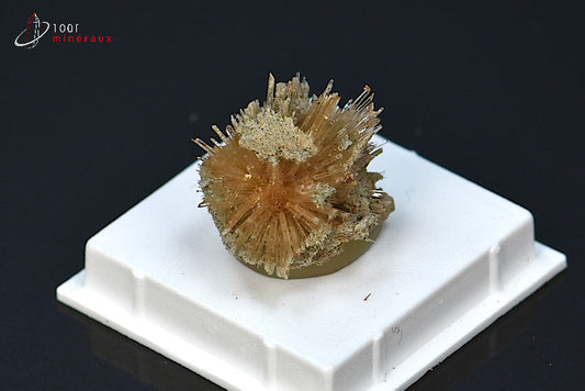 Minéral cristallisé d'aragonite aciculaire marron d'Espagne