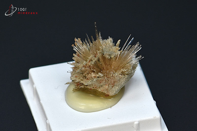 Minéral cristallisé d'aragonite aciculaire marron d'Espagne