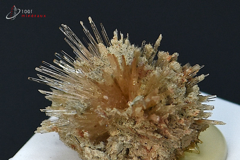 Minéral cristallisé d'aragonite aciculaire marron d'Espagne
