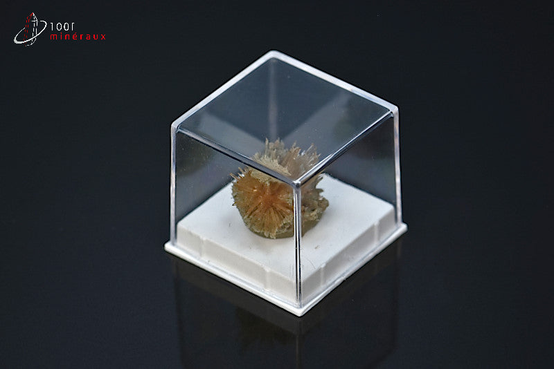 Minéral cristallisé d'aragonite aciculaire marron d'Espagne