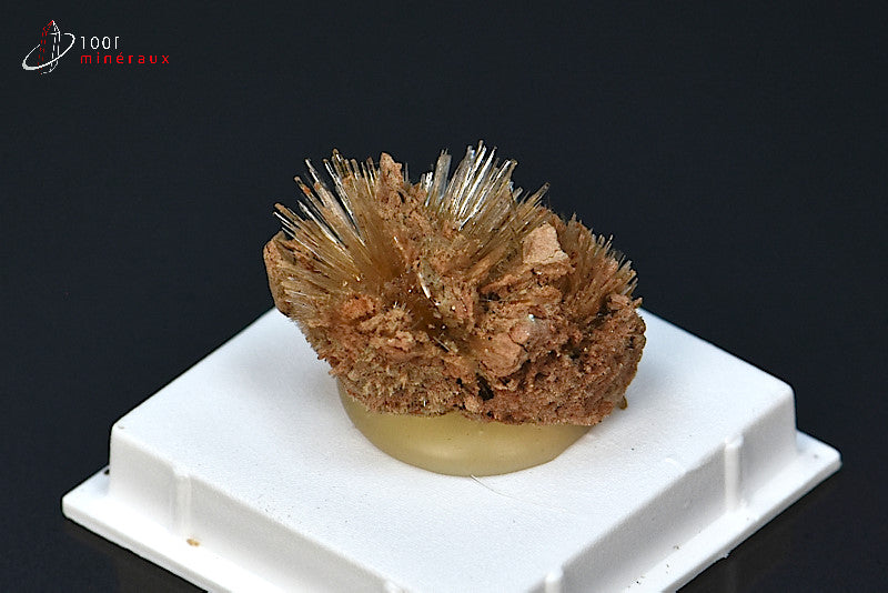 Minéral cristallisé d'aragonite aciculaire marron d'Espagne