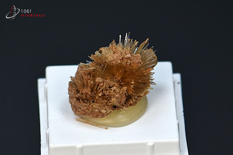 Minéral cristallisé d'aragonite aciculaire marron d'Espagne