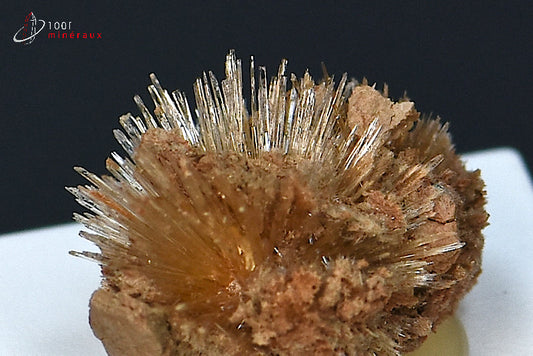 Minéral cristallisé d'aragonite aciculaire marron d'Espagne