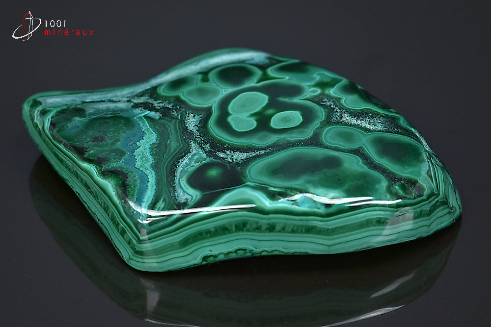 Minéral poli de chrysocolle du République démocratique du Congo