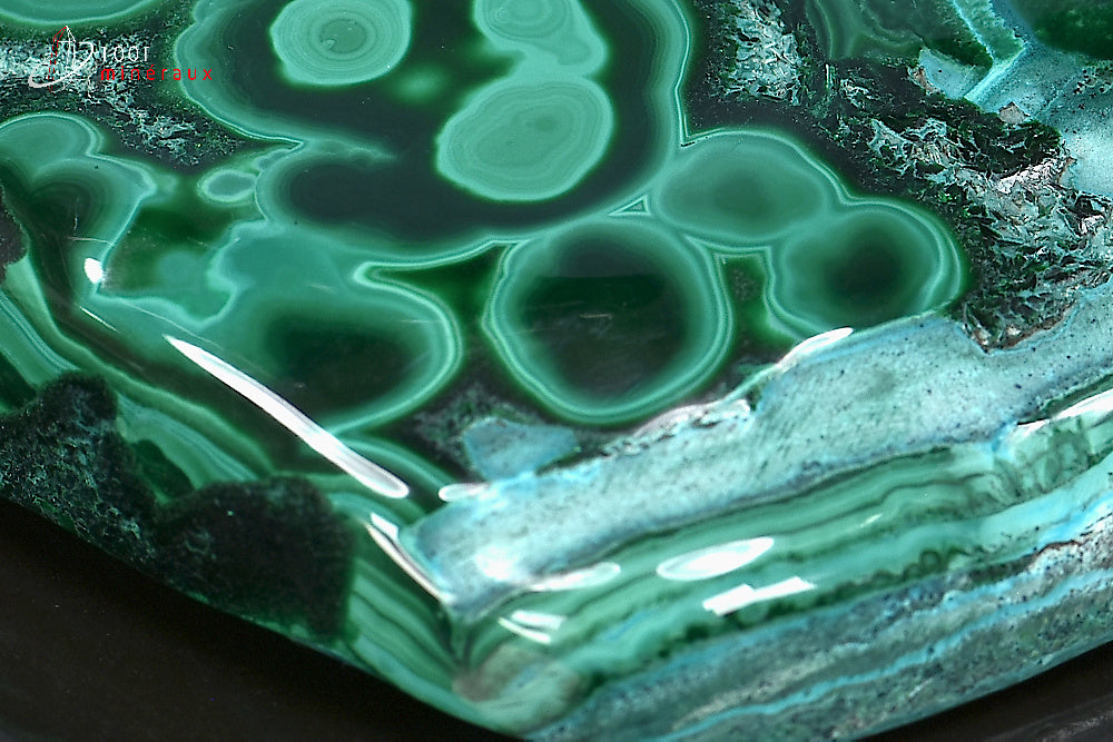 Minéral poli de chrysocolle du République démocratique du Congo
