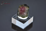 Tourmaline melon d'eau ou Elbaïte - Brésil - minéraux à cristaux 1,6 cm / 5g / BH667 - Vignette | 1001 minéraux