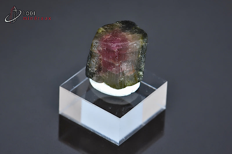 Minéral cristallisé de tourmaline melon d'eau ou elbaïte verte et rose du Brésil