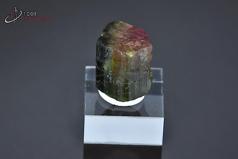 Minéral cristallisé de tourmaline melon d'eau ou elbaïte verte et rose du Brésil