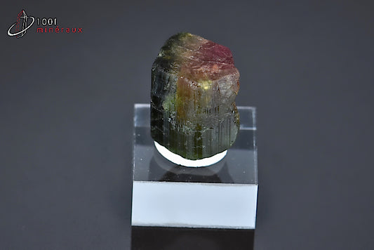 Minéral cristallisé de tourmaline melon d'eau ou elbaïte verte et rose du Brésil