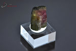 Tourmaline melon d'eau ou Elbaïte - Brésil - minéraux à cristaux 1,6 cm / 5g / BH667 - Vignette | 1001 minéraux