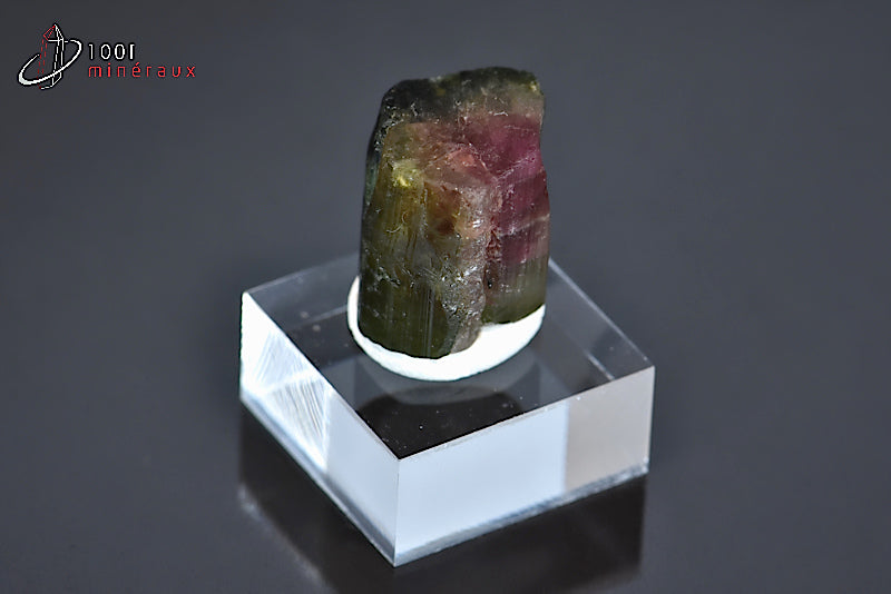 Minéral cristallisé de tourmaline melon d'eau ou elbaïte verte et rose du Brésil