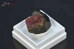 Tourmaline melon d'eau ou Elbaïte - Brésil - minéraux à cristaux 1,9 cm / 4g / BH670 - Vignette | 1001 minéraux