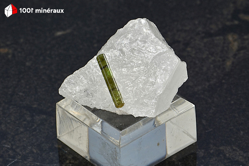 Tourmaline verte sur Quartz du Brésil - Spécimen de 14 g présenté sur socle - BH697
