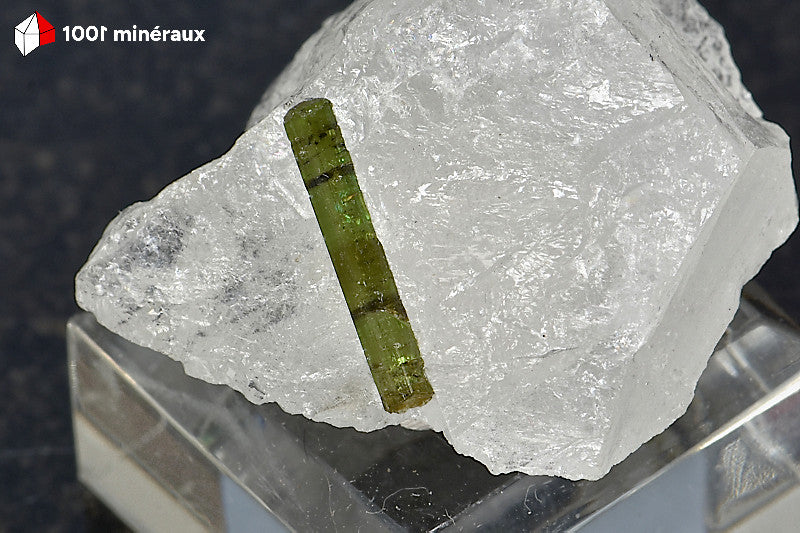 Tourmaline verte sur Quartz du Brésil - Détail du cristal vert translucide de 14 mm - BH697
