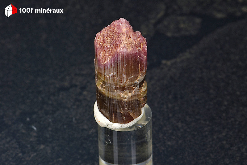 Tourmaline rose Rubellite du Brésil - Cristal présenté sur socle de 10 g - BH700
