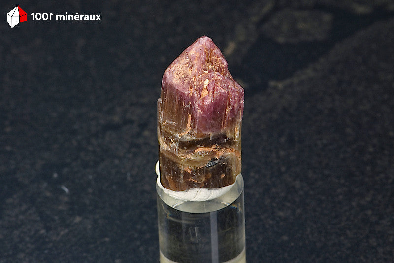 Tourmaline rose Rubellite du Brésil - Cristal à apex rose - 2,6 x 1,3 x 1,3 cm - BH700
