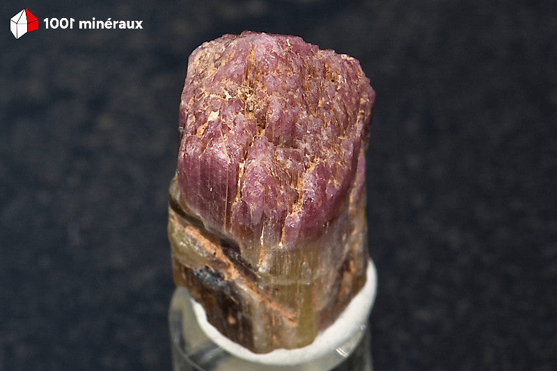 Tourmaline rose Rubellite du Brésil - Détail de la terminaison en apex rose - BH700
