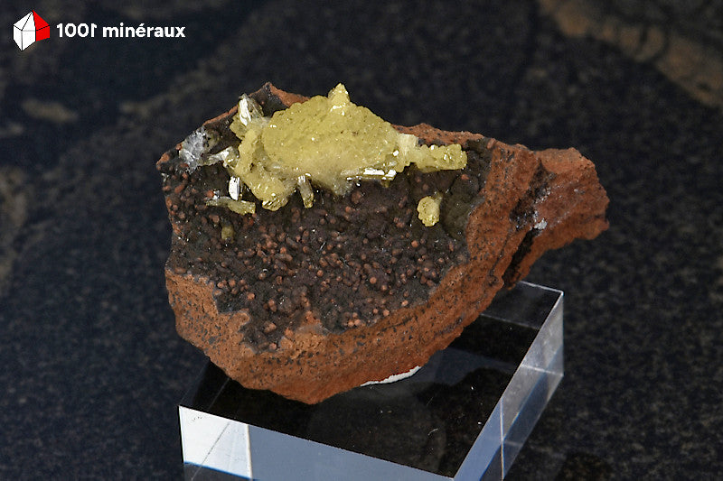 Adamite sur Limonite de Mapimí, Mexique - Cristaux jaune-vert en éventail sur socle - 12 g - BH713
