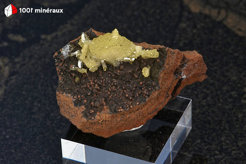 Adamite sur Limonite de Mapimí, Mexique - Cristaux jaune-vert en éventail sur socle - 12 g - BH713
