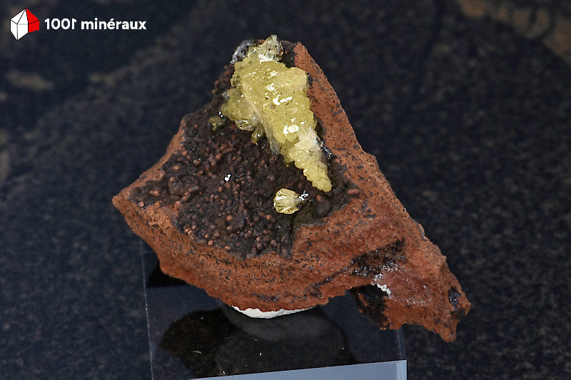 Adamite de Mapimí - Groupe de cristaux sur une zone noire de Limonite brun-rouge - 3,7 x 2,4 x 2,2 cm - BH713

