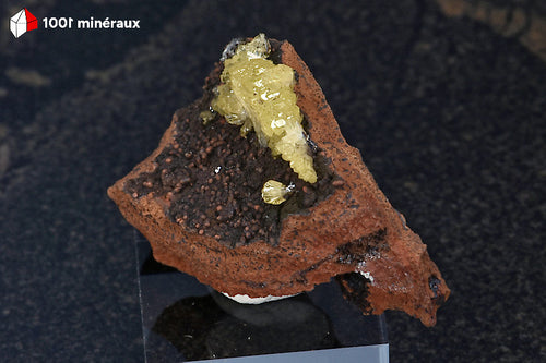 Adamite de Mapimí - Groupe de cristaux sur une zone noire de Limonite brun-rouge - 3,7 x 2,4 x 2,2 cm - BH713

