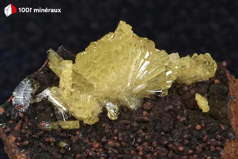 Adamite de Mapimí, Mexique - Détail des cristaux allongés jaune-vert translucides disposés en éventail - BH713
