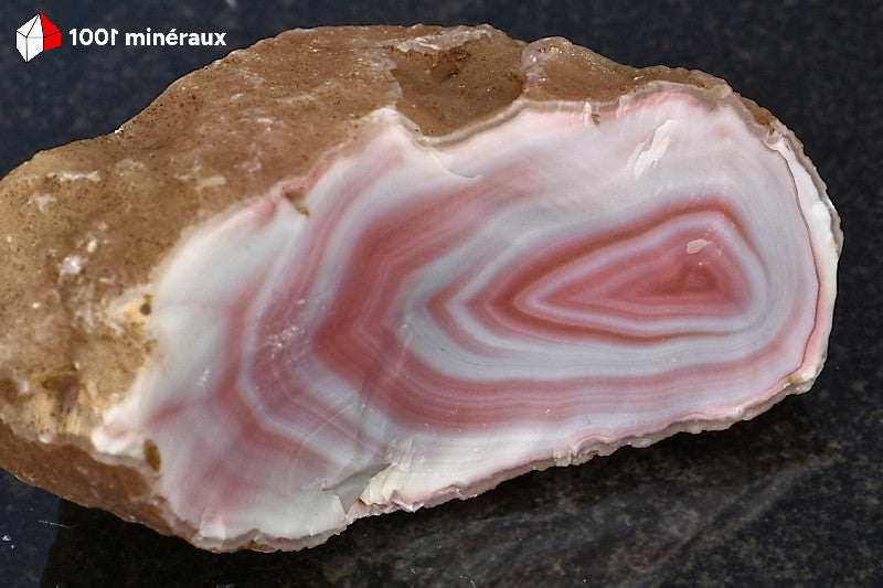Agate zonée du Botswana - Détail des cercles et bandes concentriques rose-rouge sur fond blanc - BH727
