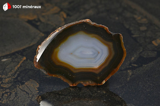 Tranche Agate naturelle Brésil - Forme ovoïde, large bande brun sombre et bandes concentriques vers centre incolore - 25 g - BH763

