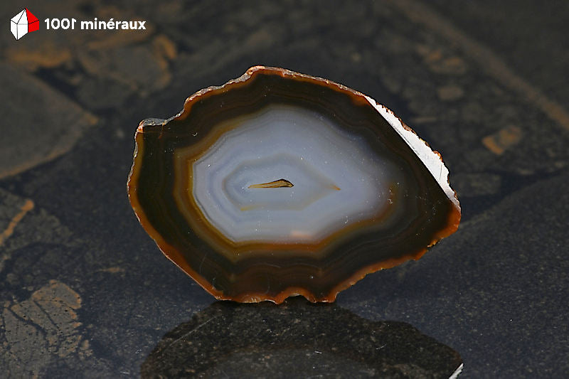 Tranche Agate naturelle Brésil - Détail de la gradation brun foncé vers centre translucide incolore - 25 g
