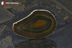 Tranche d'Agate naturelle du Brésil (ovoïde, bandes concentriques brun foncé à brun clair) - 32 g / BH764 - Vignette | 1001 minéraux