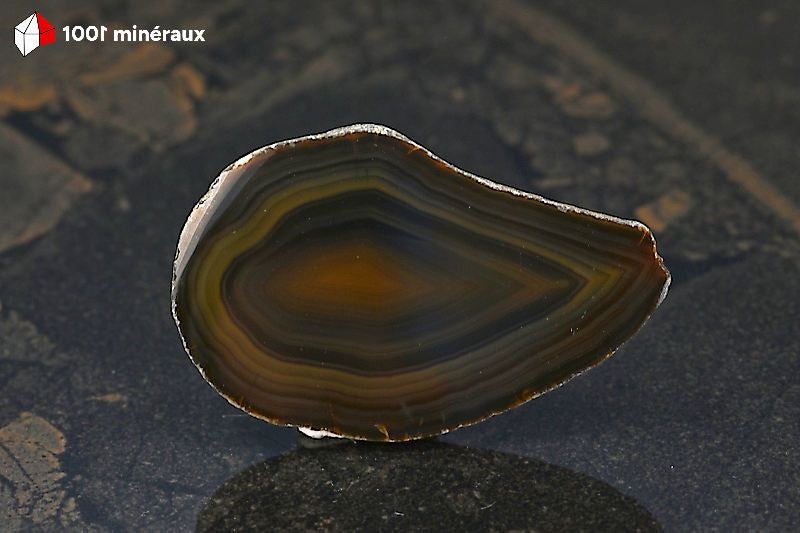 Tranche Agate naturelle Brésil - Détail des bandes brunes concentriques épousant le profil de la tranche - 32 g
