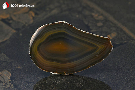 Tranche Agate naturelle Brésil - Détail des bandes brunes concentriques épousant le profil de la tranche - 32 g
