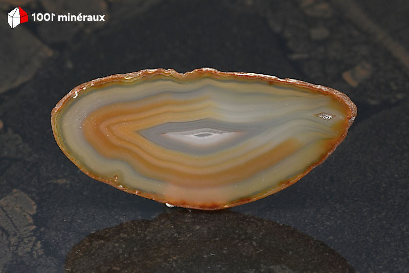 Tranche Agate naturelle Brésil - Forme allongée, bande beige périphérique, brun clair et centre blanc - 27 g - BH765
