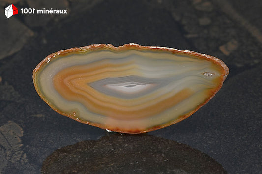 Tranche Agate naturelle Brésil - Forme allongée, bande beige périphérique, brun clair et centre blanc - 27 g - BH765
